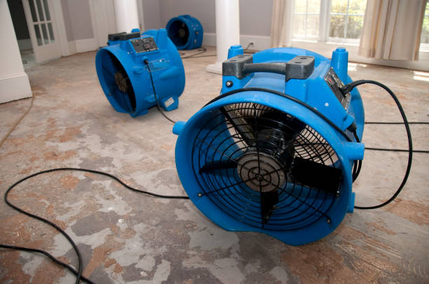 Best Flood restoration services  in Marshall, VA