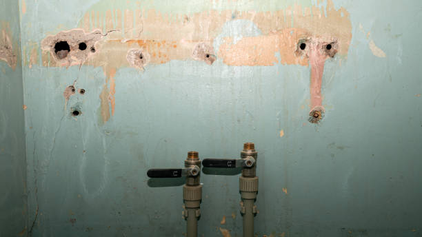 Best Water damage mitigation services  in Marshall, VA