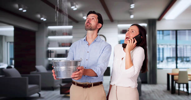 Best Water damage restoration mold remediation  in Marshall, VA